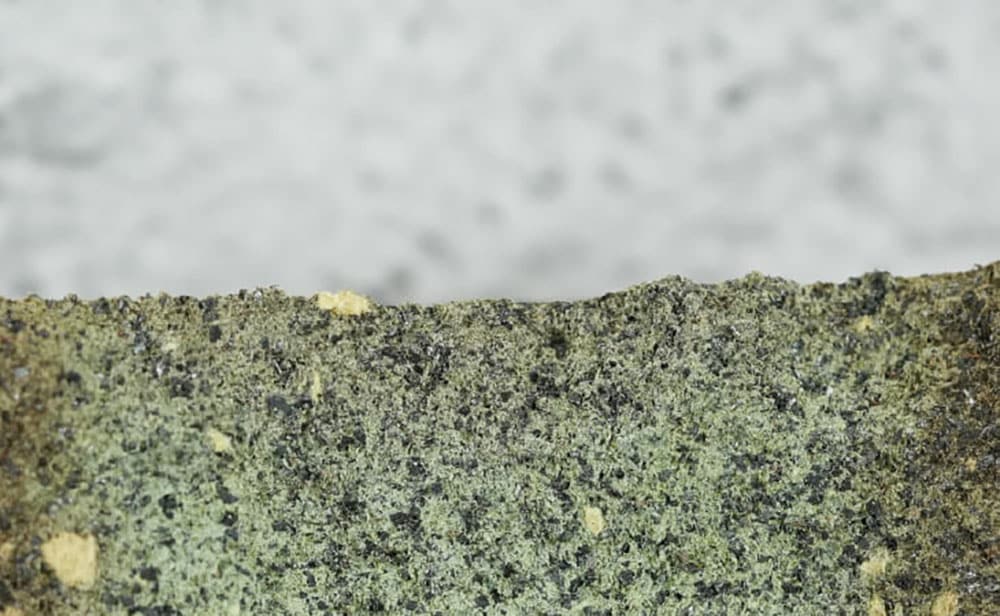 organic brake pad material closeup